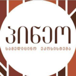 Pineo Medical Ecosystem